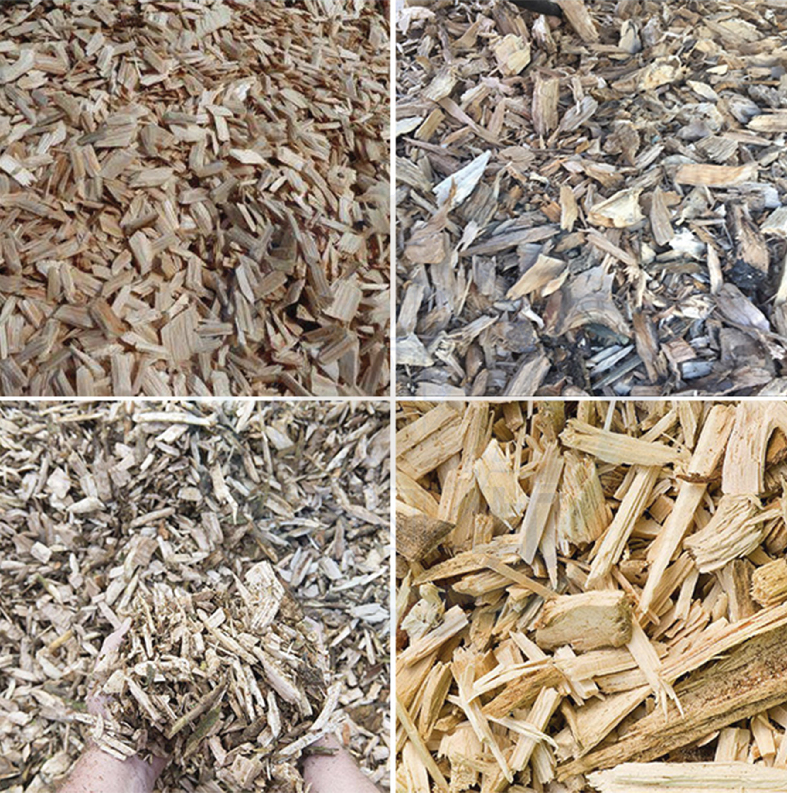 圓盤式樹根破碎機破碎效果